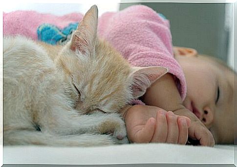 Baby girl sleeps with a kitten