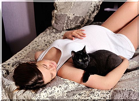 Cats and pregnancy: are they really incompatible?