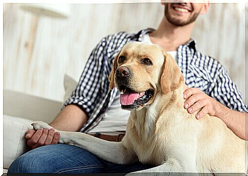 Did you know that dogs recognize tone of voice?