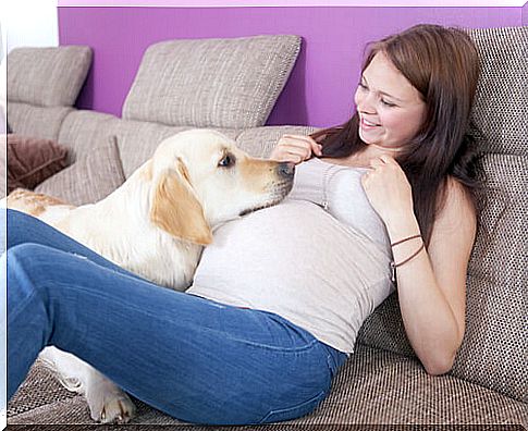 Dogs and babies, how to prepare for the arrival of a baby