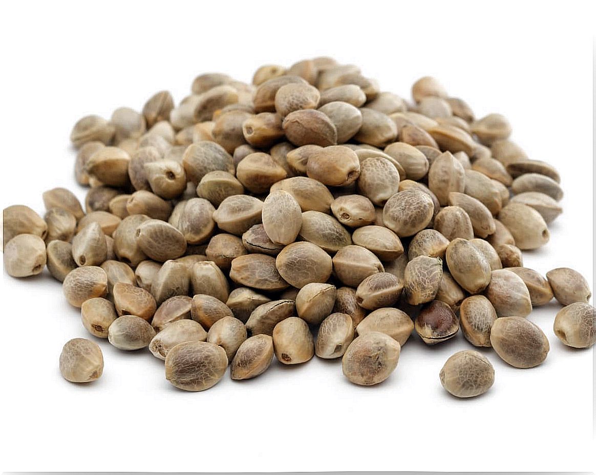 Are hemp seeds good for pets?