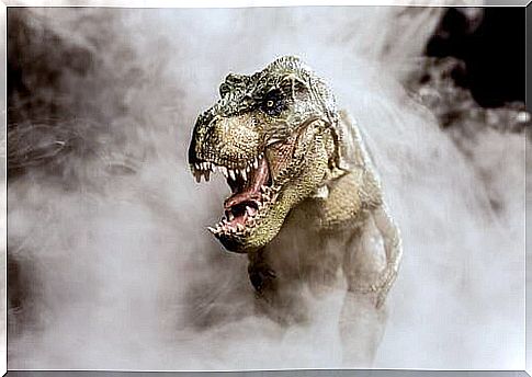 Here are 6 curiosities about Tyrannosaurus rex