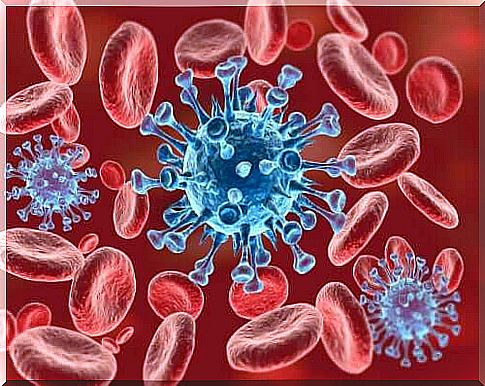 The mechanisms of homeostatic regulation