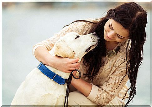 girl hugs labrador