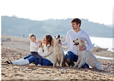 family with dogs