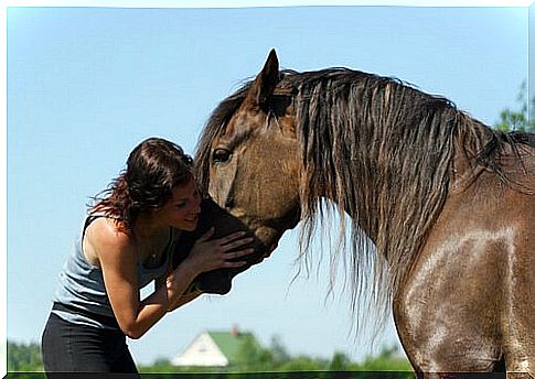 girl caresses horse