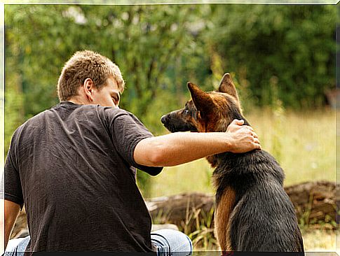 How to keep your dog calm