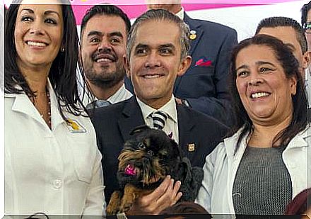 Mexico City inaugurates the first public veterinary hospital