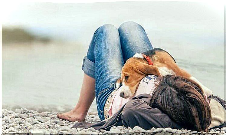 a girl lying on the beach with the dog on it