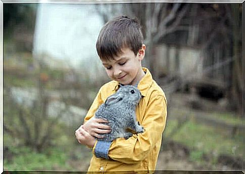 Child hugging a rabbit.