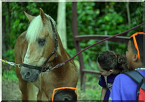 Hippotherapy with children