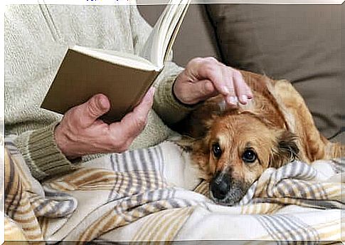 Elderly and dogs: a demonstrated symbiosis