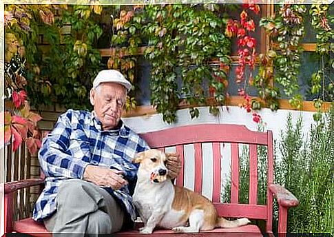 Senior with dog on the bench.