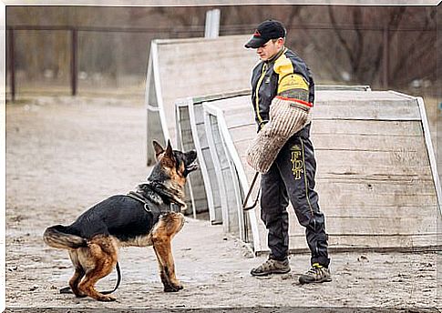 Police dog training