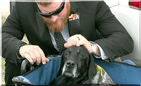 The Marines' touching farewell to the dog Cena