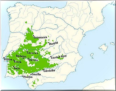 Mappa dei territori della dehesa in Spagna.