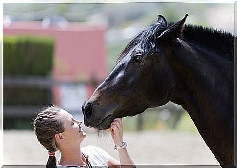 a smiling girl plays with a black horse